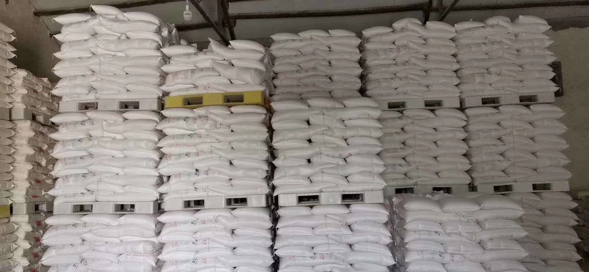 �����бP(p��n)004